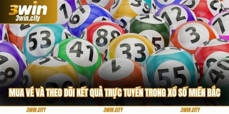 Mua vé và theo dõi kết quả trực tuyến trong xổ số miền bắc